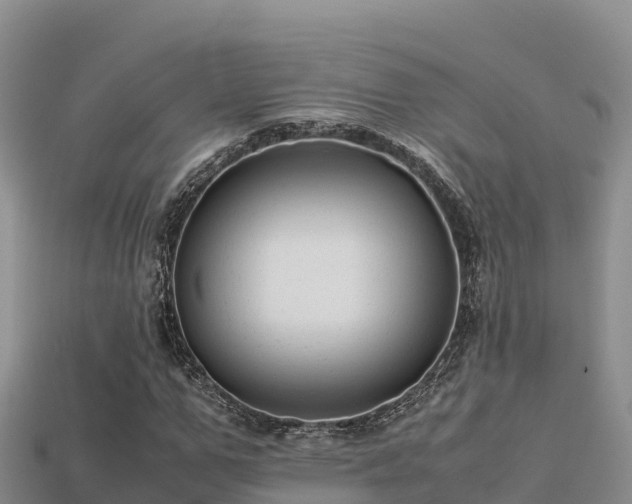 X0000113220967200909171552