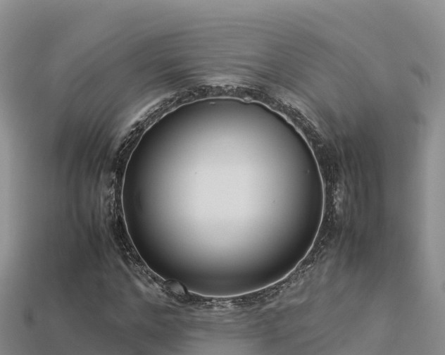 X0000113220968200909171551