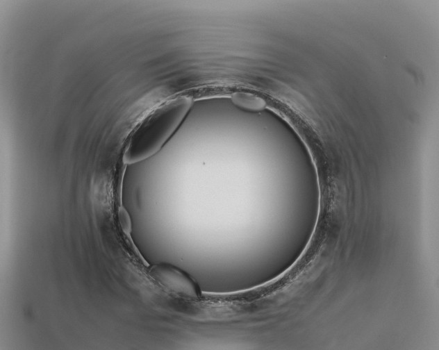 X0000113220969200909171551