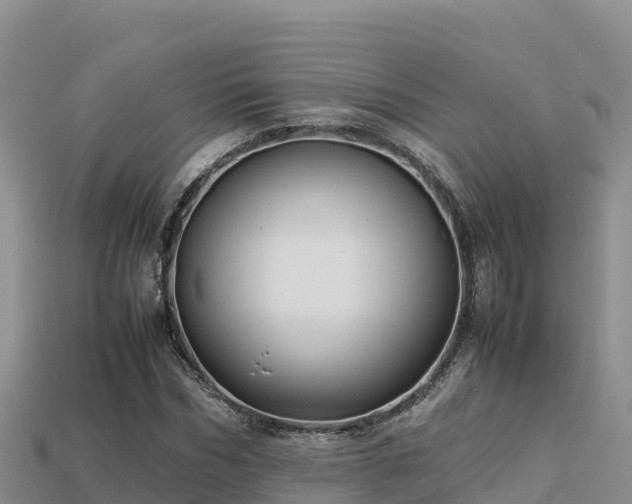 X0000113220970200909171551