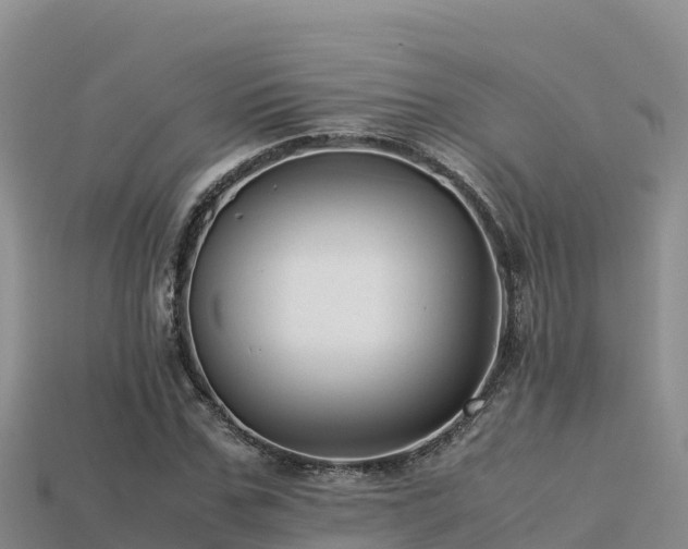 X0000113220971200909171551