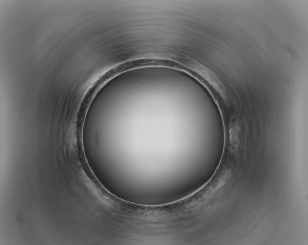 X0000113220972200909171551