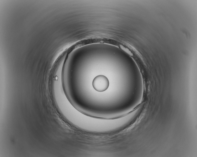 X0000113220973200909171551