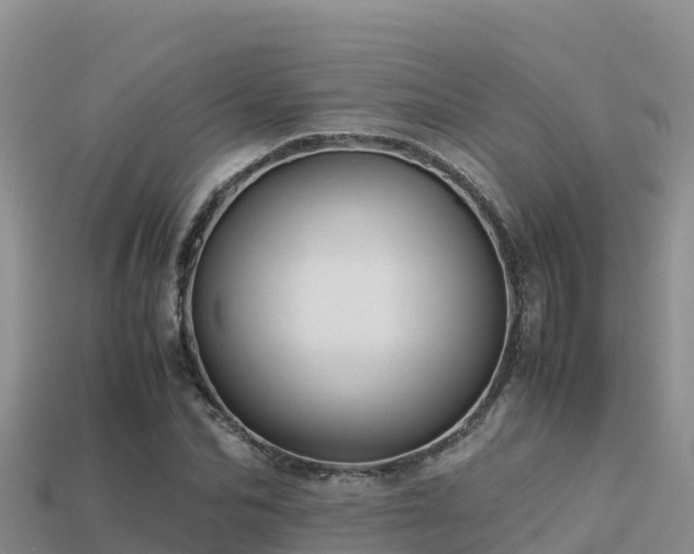 X0000113220974200909171551