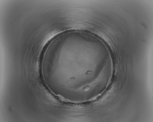 X0000113220975200909171551