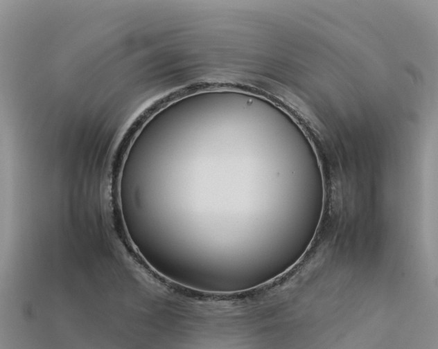 X0000113220976200909171551