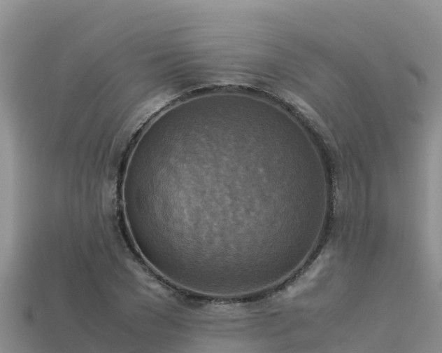 X0000113220977200909171551