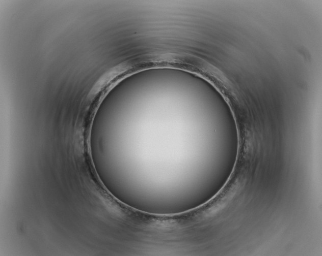 X0000113220978200909171551