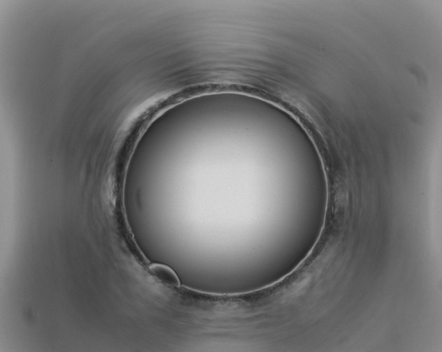 X0000113220979200909171551