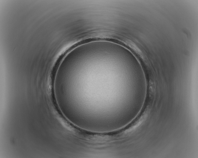 X0000113220981200909171551