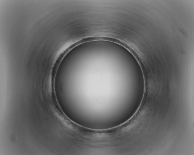 X0000113220982200909171551