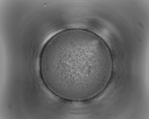 X0000113220983200909171551