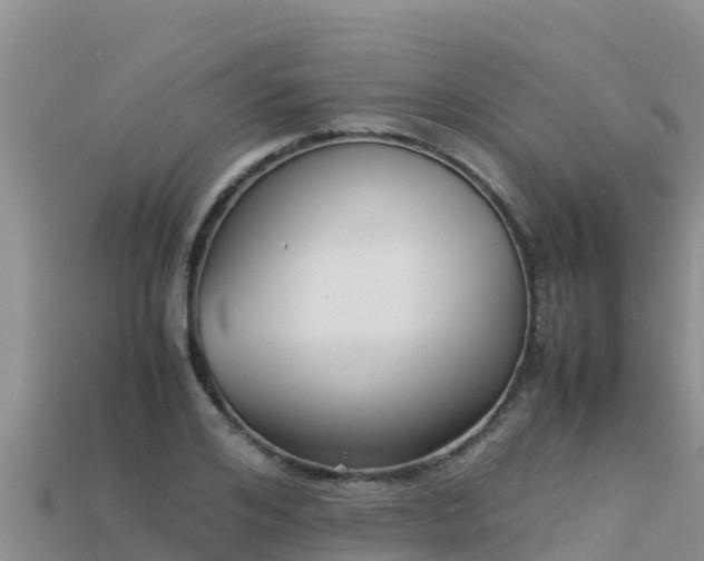 X0000113220984200909171551