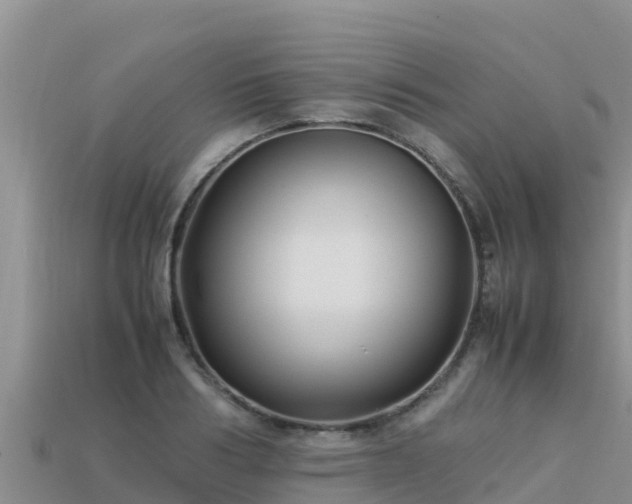 X0000113220986200909171551