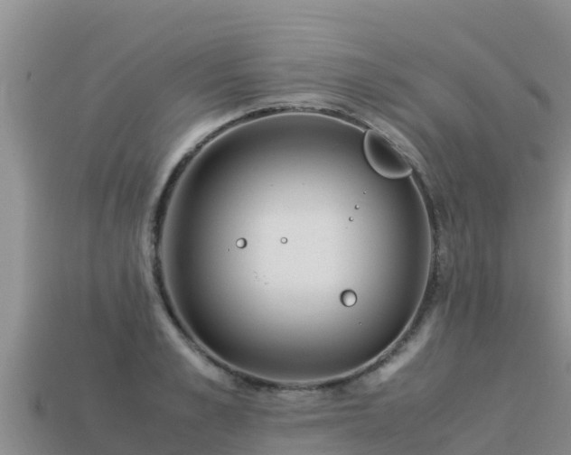 X0000113220989200909171551