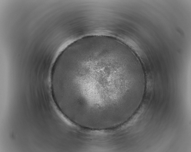 X0000113220990200909171551