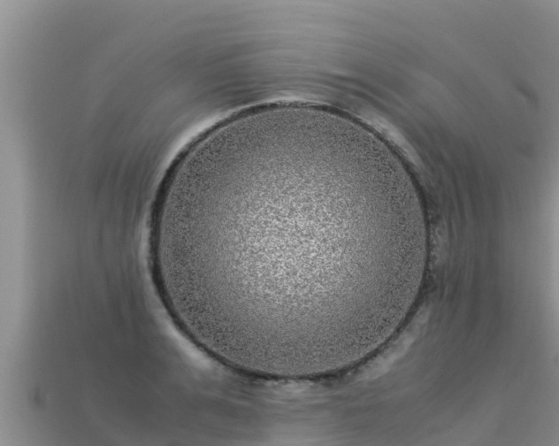 X0000113220991200909171551