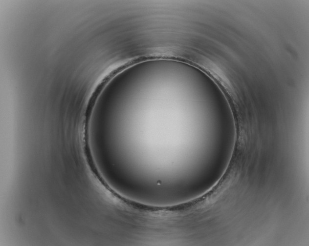 X0000113220992200909171551