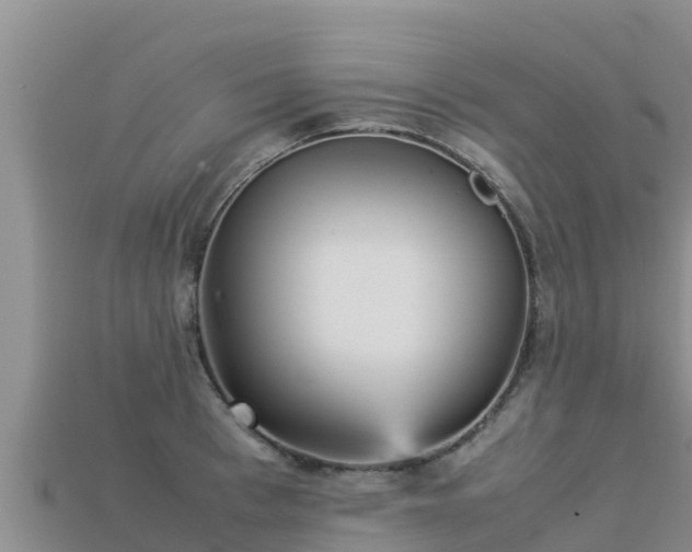 X0000113220993200909171551