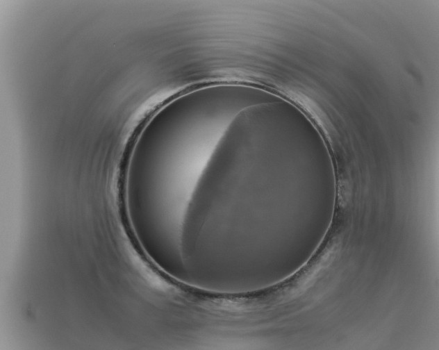 X0000113220995200909171551