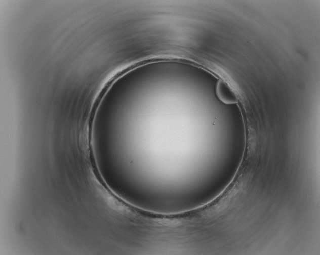 X0000113220996200909171551