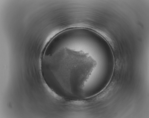 X0000113220998200909171551