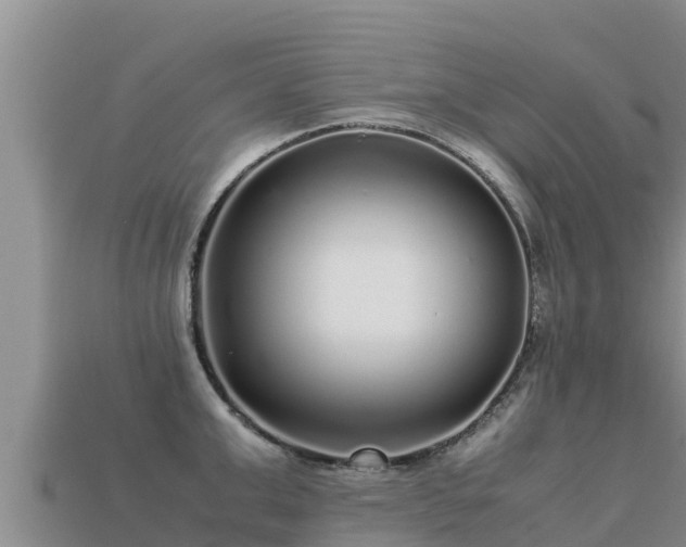 X0000113220999200909171551