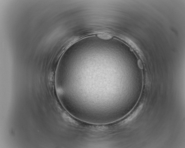 X0000113221001200909171551