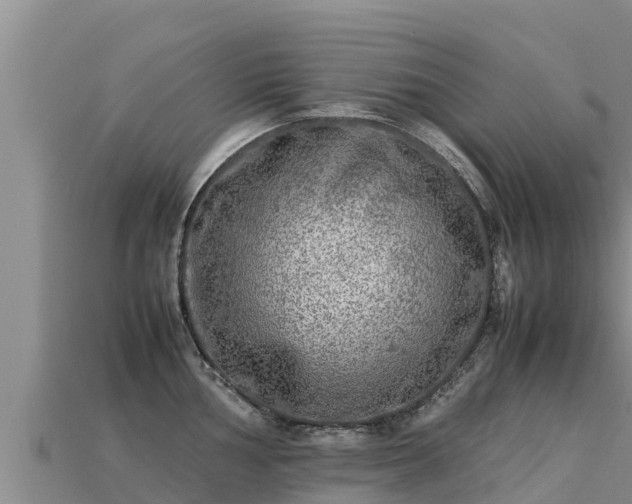 X0000113221002200909171551