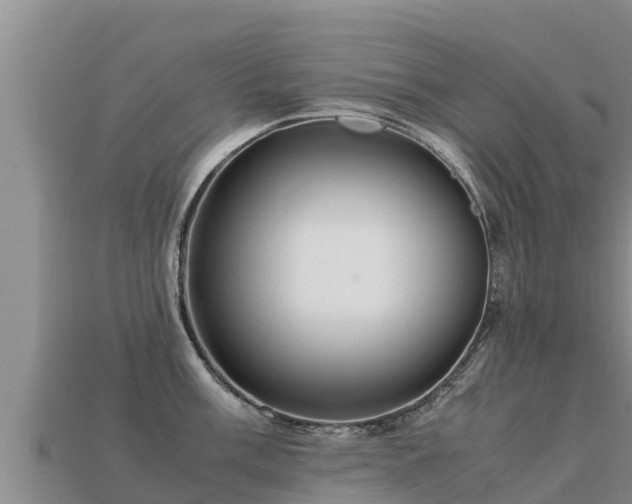 X0000113221003200909171551