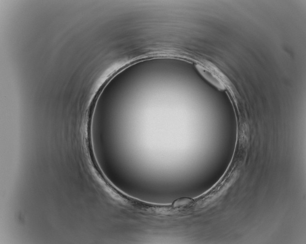 X0000113221005200909171551