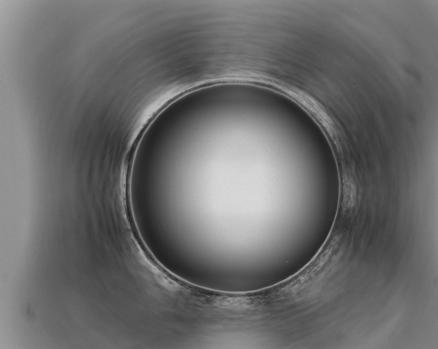 X0000113221006200909171551