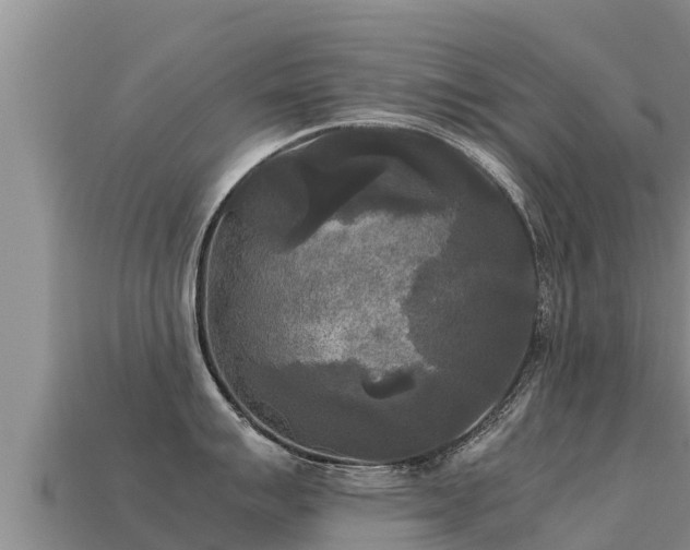 X0000113221007200909171551