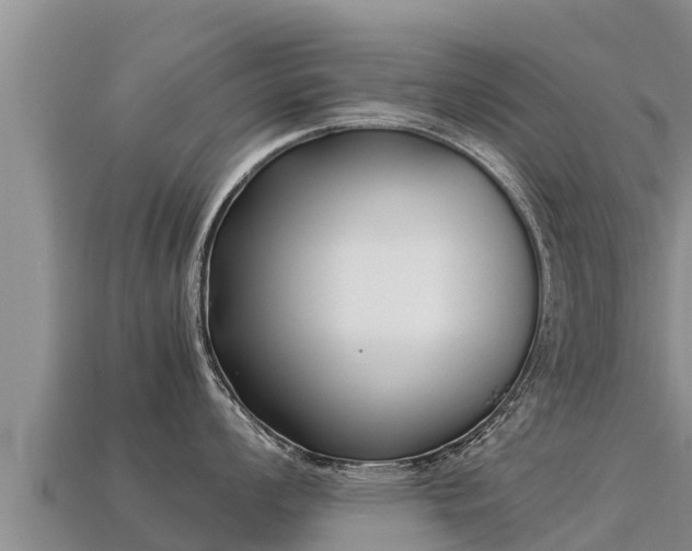 X0000113221008200909171551