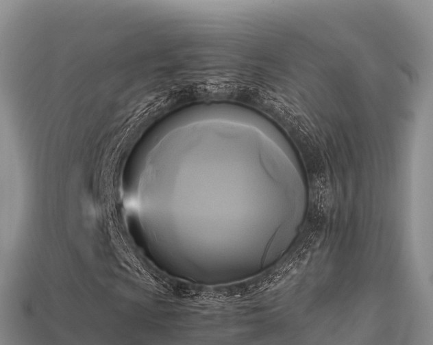 X0000113221009200909171550