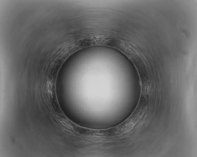 X0000113221010200909171550