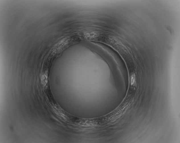 X0000113221011200909171550