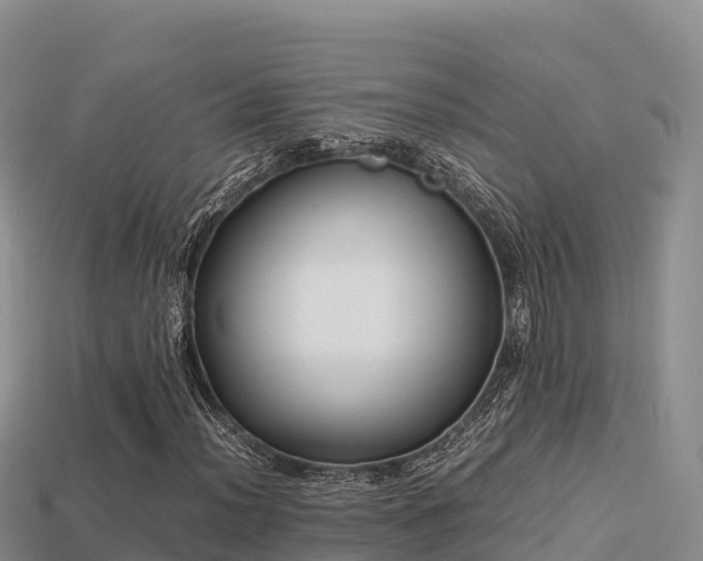 X0000113221012200909171550