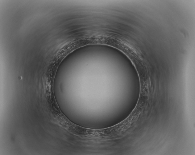 X0000113221013200909171550