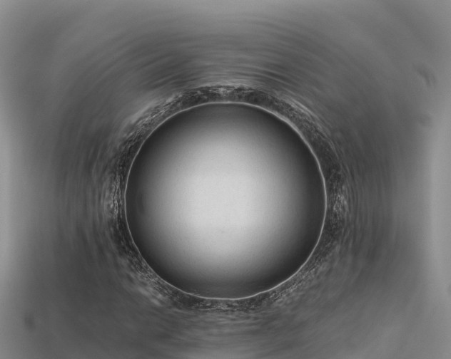 X0000113221014200909171550