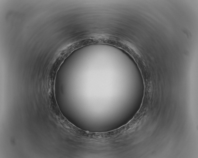 X0000113221016200909171550