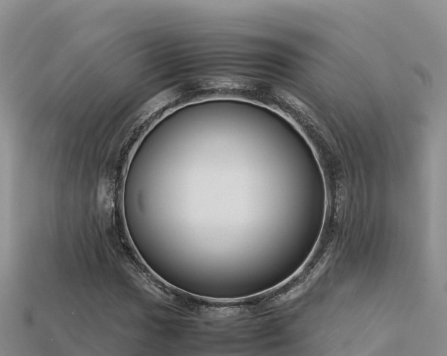 X0000113221017200909171550