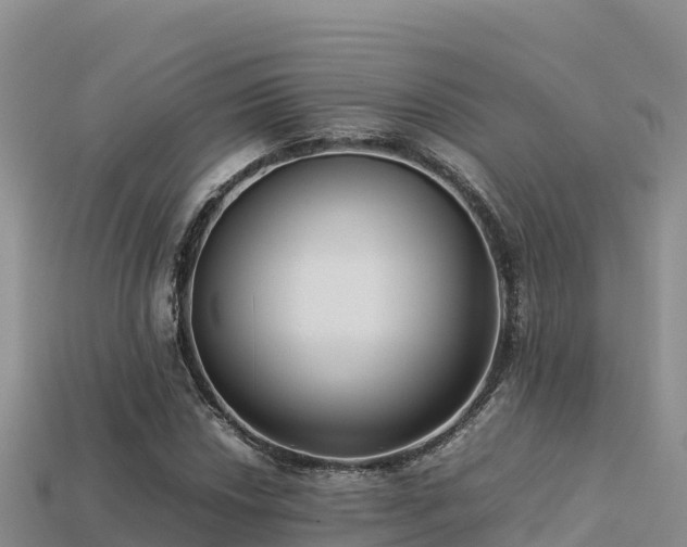 X0000113221018200909171550