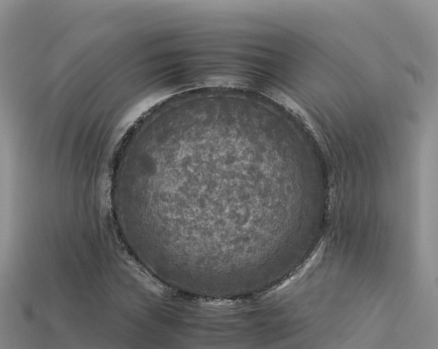 X0000113221019200909171550