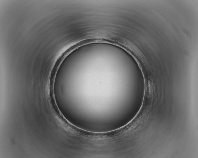 X0000113221020200909171551