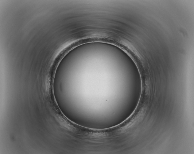 X0000113221021200909171551