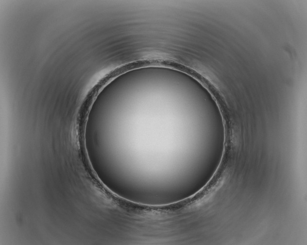 X0000113221022200909171551