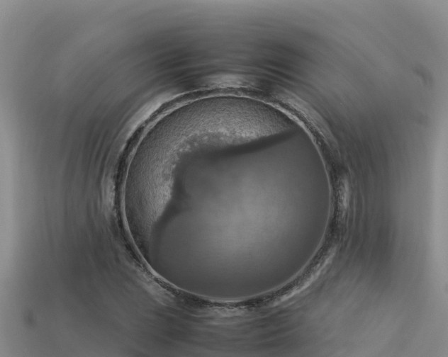 X0000113221023200909171551