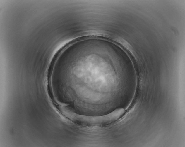 X0000113221024200909171551