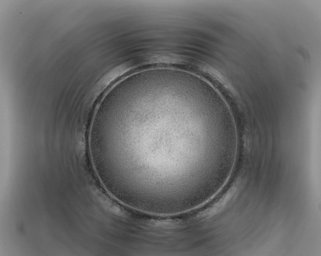 X0000113221025200909171551